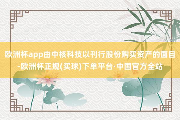 欧洲杯app由中核科技以刊行股份购买资产的面目-欧洲杯正规(买球)下单平台·中国官方全站