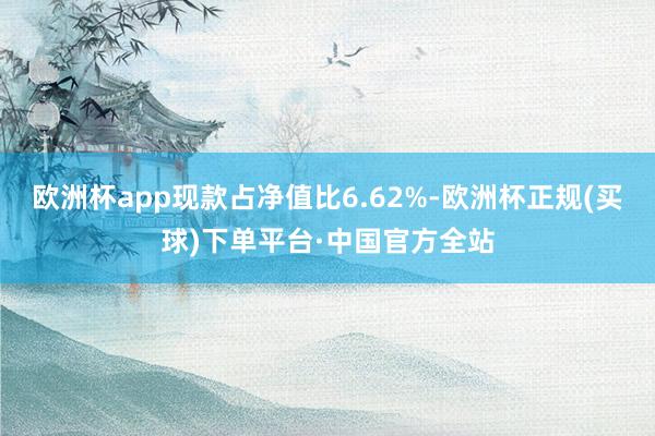 欧洲杯app现款占净值比6.62%-欧洲杯正规(买球)下单平台·中国官方全站