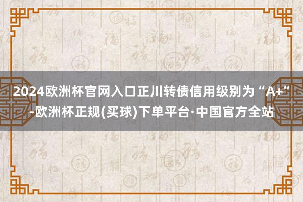 2024欧洲杯官网入口正川转债信用级别为“A+”-欧洲杯正规(买球)下单平台·中国官方全站