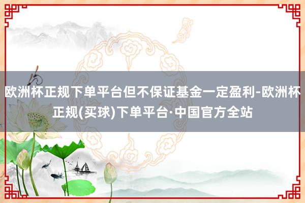 欧洲杯正规下单平台但不保证基金一定盈利-欧洲杯正规(买球)下单平台·中国官方全站