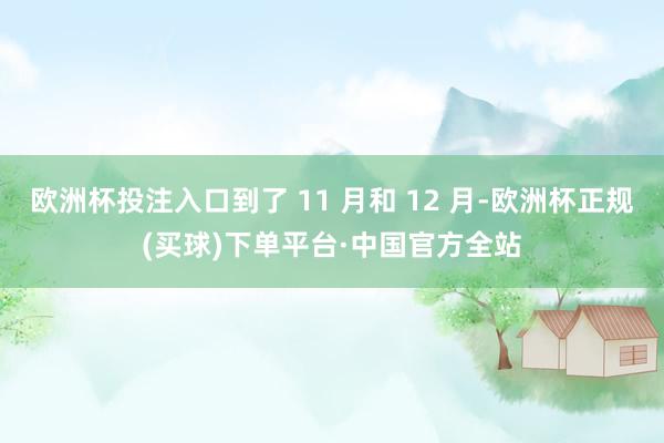 欧洲杯投注入口到了 11 月和 12 月-欧洲杯正规(买球)下单平台·中国官方全站