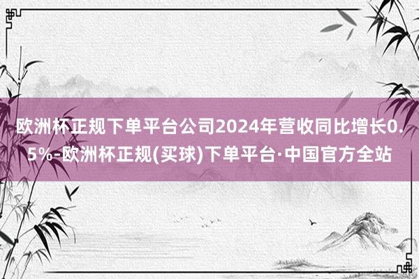 欧洲杯正规下单平台公司2024年营收同比增长0.5%-欧洲杯正规(买球)下单平台·中国官方全站