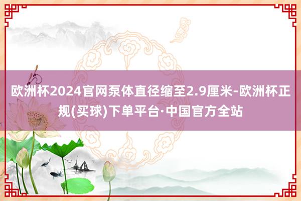 欧洲杯2024官网泵体直径缩至2.9厘米-欧洲杯正规(买球)下单平台·中国官方全站