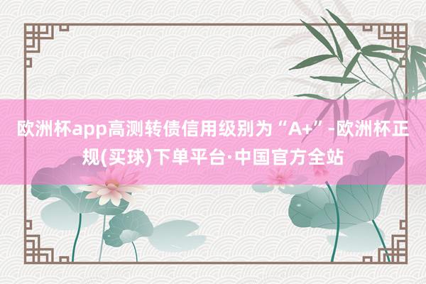 欧洲杯app高测转债信用级别为“A+”-欧洲杯正规(买球)下单平台·中国官方全站