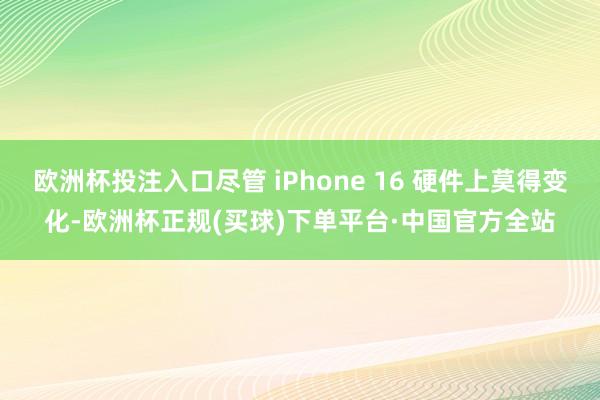 欧洲杯投注入口尽管 iPhone 16 硬件上莫得变化-欧洲杯正规(买球)下单平台·中国官方全站