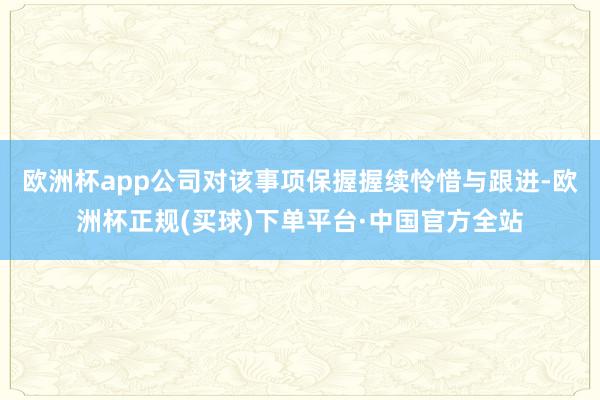 欧洲杯app公司对该事项保握握续怜惜与跟进-欧洲杯正规(买球)下单平台·中国官方全站