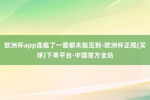 欧洲杯app连临了一面都未能见到-欧洲杯正规(买球)下单平台·中国官方全站