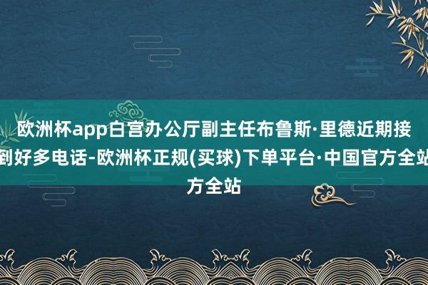 欧洲杯app白宫办公厅副主任布鲁斯·里德近期接到好多电话-欧洲杯正规(买球)下单平台·中国官方全站